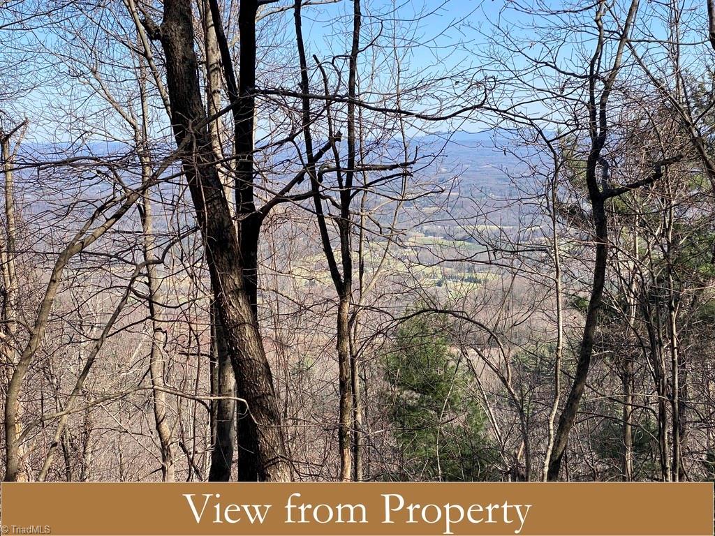 0 Blue Ridge Parkway Fancy Gap, VA 24328 - Photo 8 of 23 Gallery Image 8
