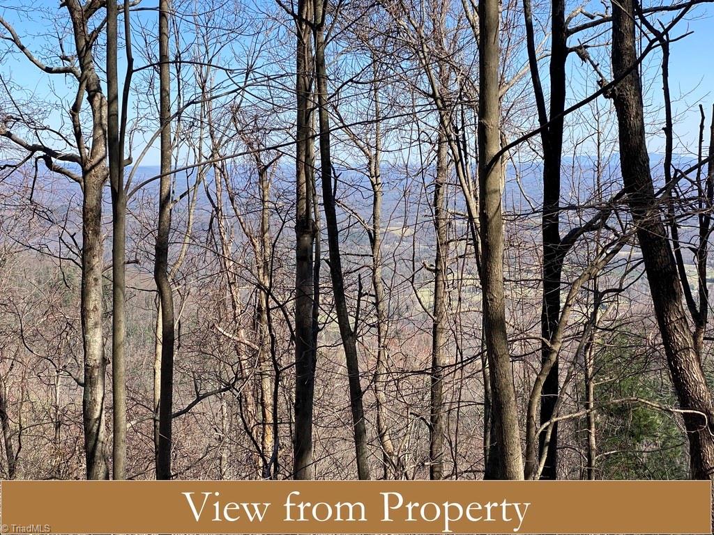 0 Blue Ridge Parkway Fancy Gap, VA 24328 - Photo 9 of 23 Gallery Image 9