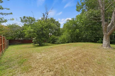 a yard with a trees