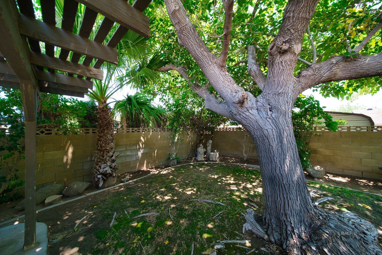 1024 Sherri Street Ridgecrest, CA 93555 - Photo 36 of 41 a yard with tall trees