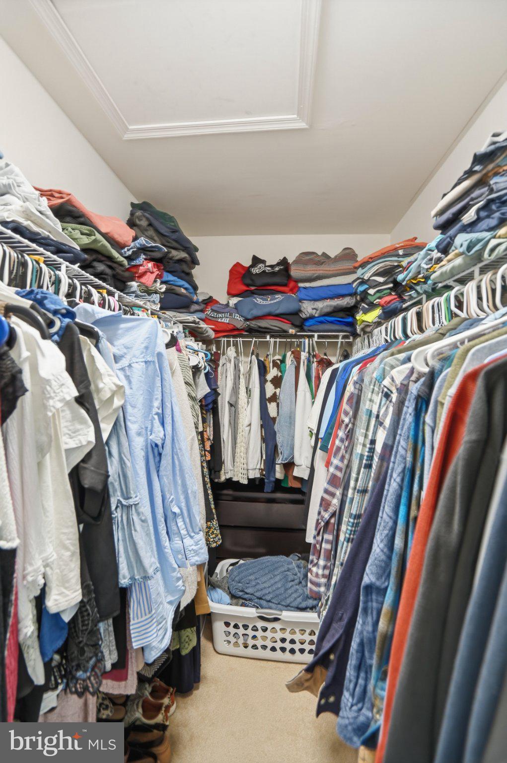 803 Rustic Court Perryville, MD 21903 - Photo 35 of 37 Organized chaos in a spacious closet.