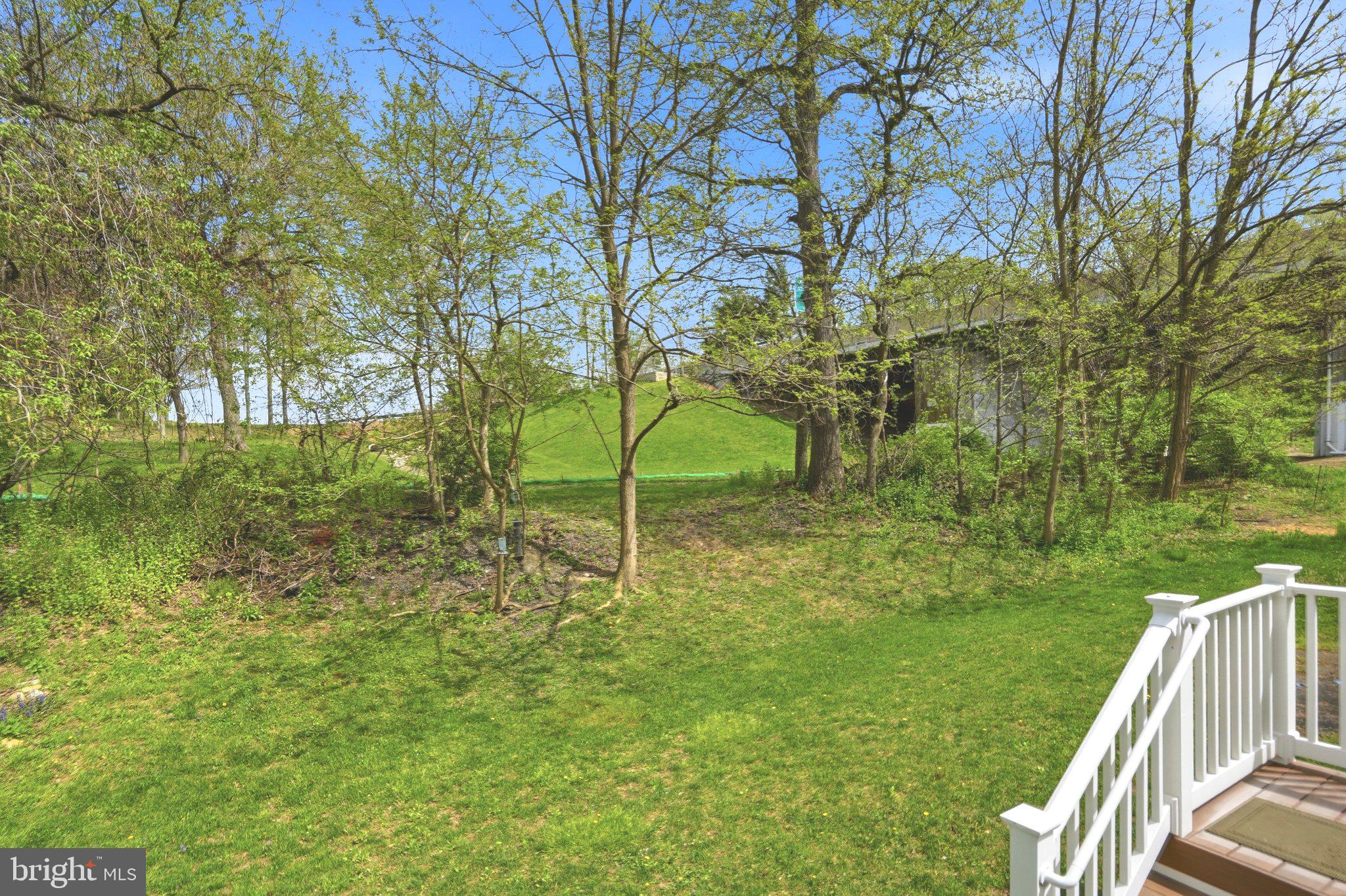 803 Rustic Court Perryville, MD 21903 - Photo 4 of 37 Serene green retreat with lush trees.