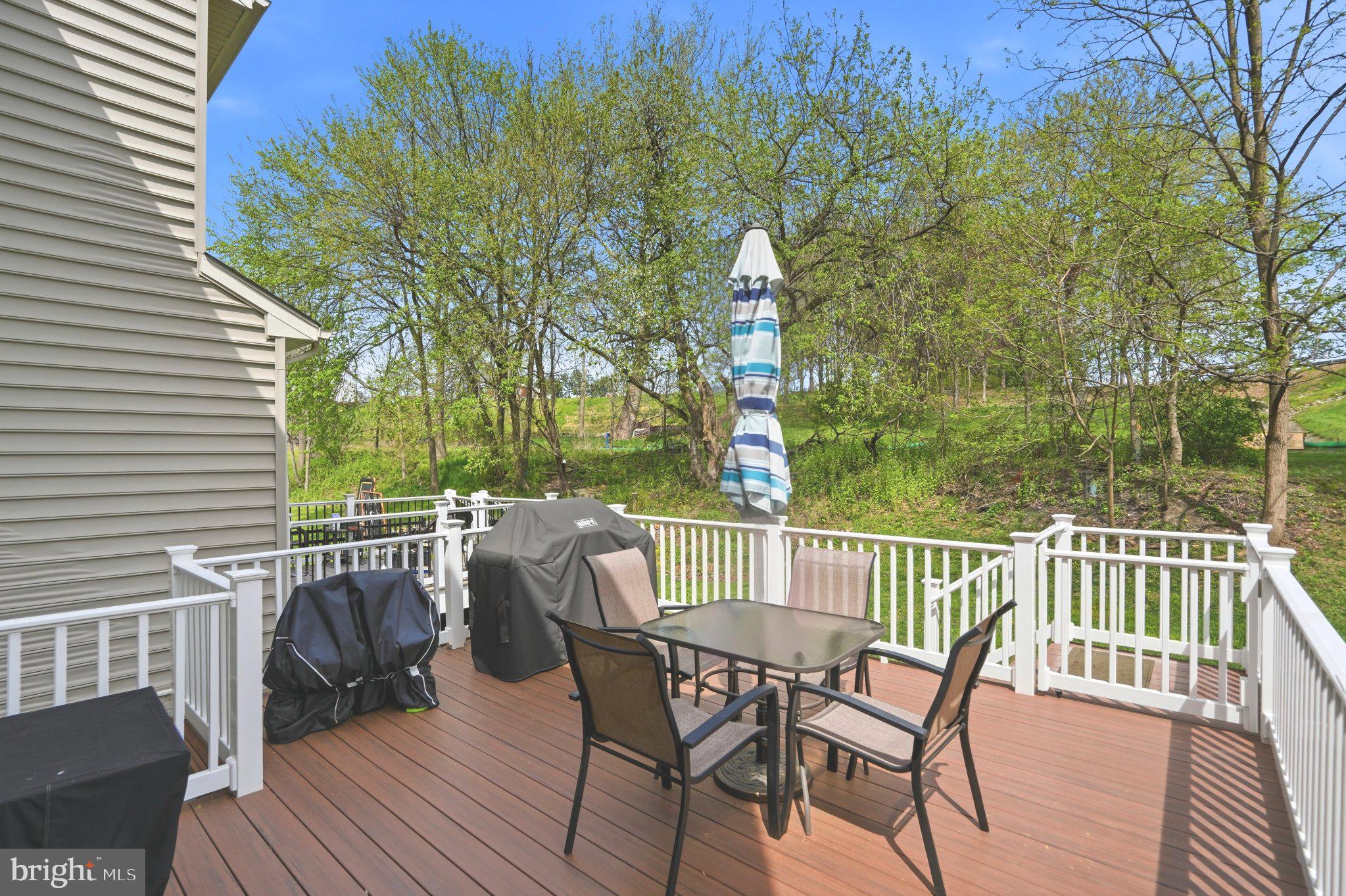 803 Rustic Court Perryville, MD 21903 - Photo 5 of 37 Sunny deck with lush green backdrop.