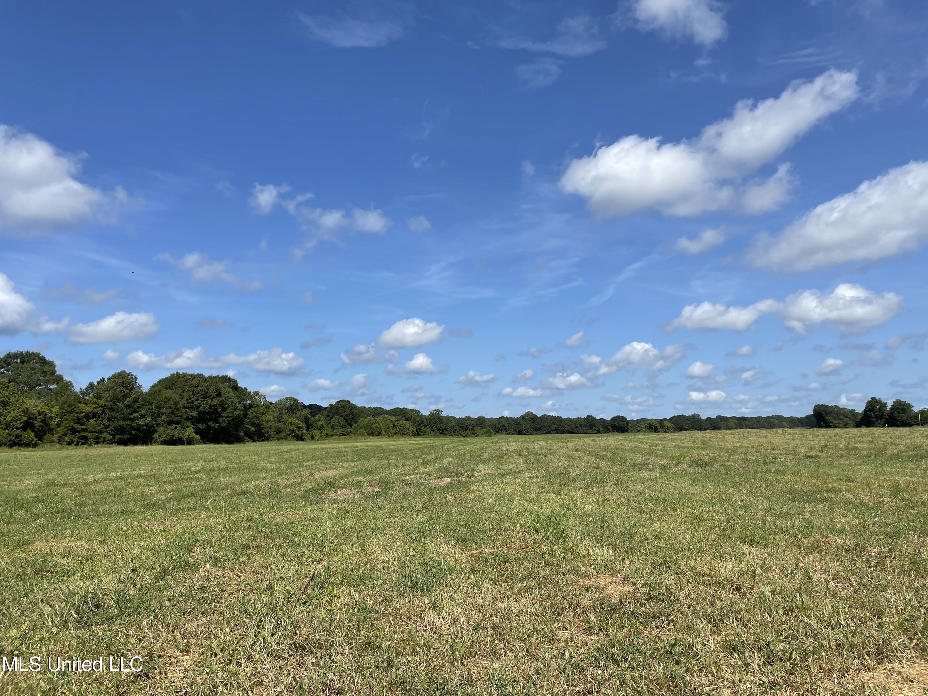 5 Terrell Road Bentonia, MS 39040 - Photo 1 of 1 25.56 Acres