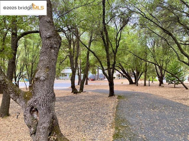 13133 Mohrmann Street Groveland, CA 95321 - Photo 22 of 53 a view of road with trees
