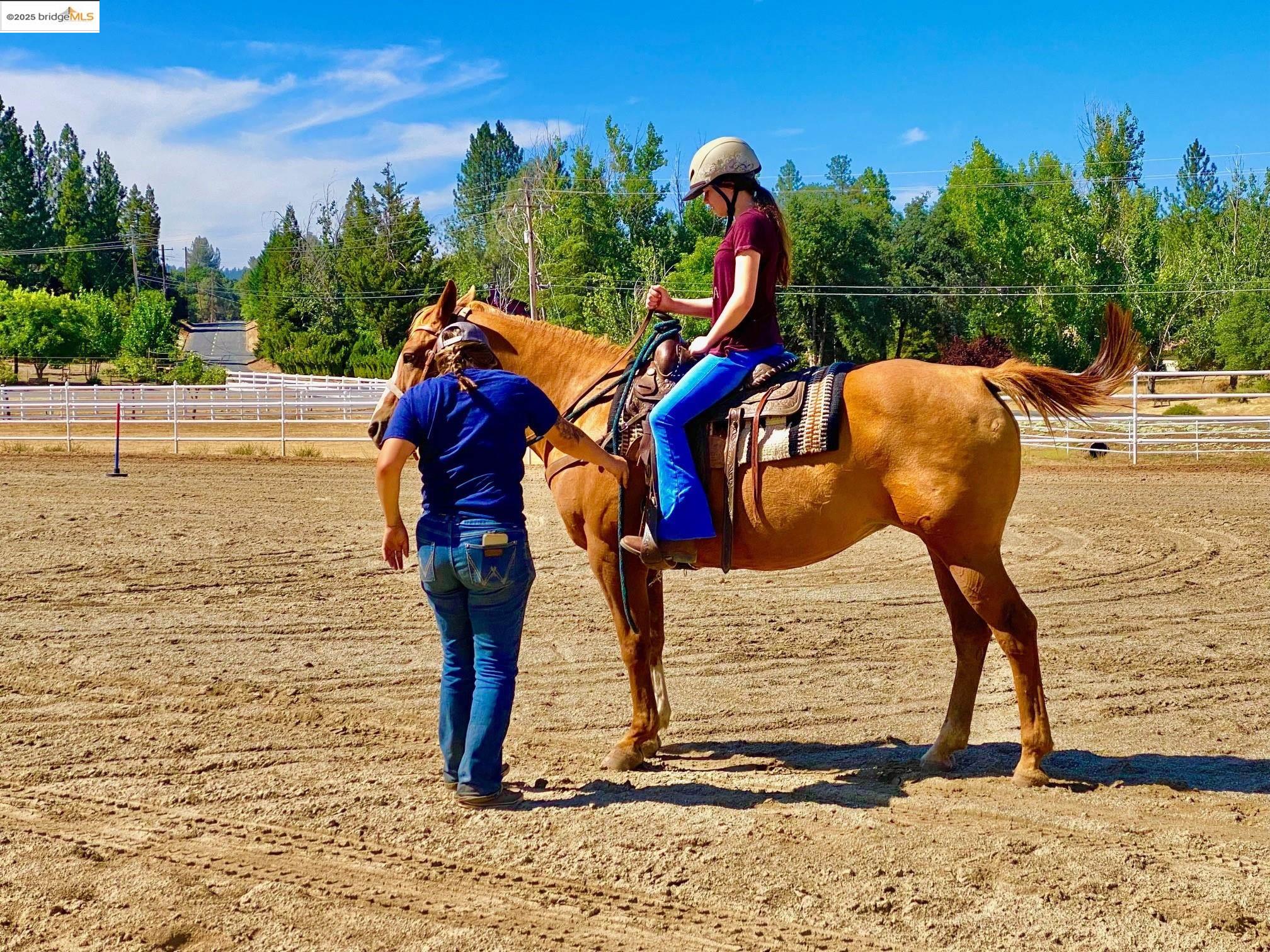 13133 Mohrmann Street Groveland, CA 95321 - Photo 38 of 53