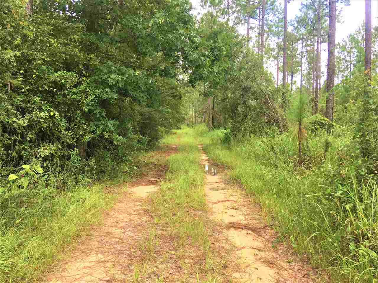 0 Dyas Road Perdido, AL 36562 - Photo 4 of 7