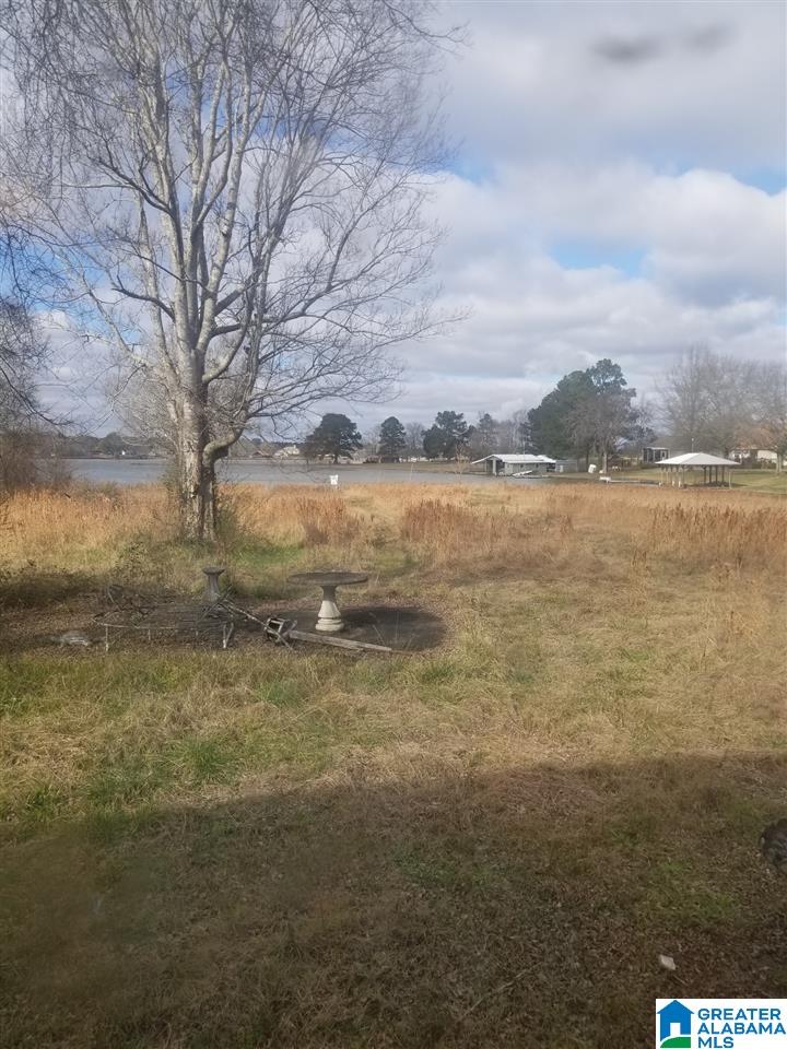 796 Heasletts Road Childersburg, AL 35044 - Photo 11 of 19