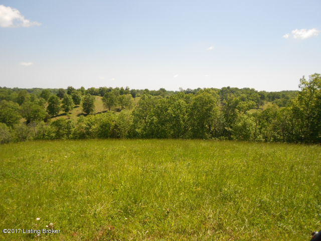 1 Ashby Road Lawrenceburg, KY 40342 - Photo 8 of 11 DSCN0761