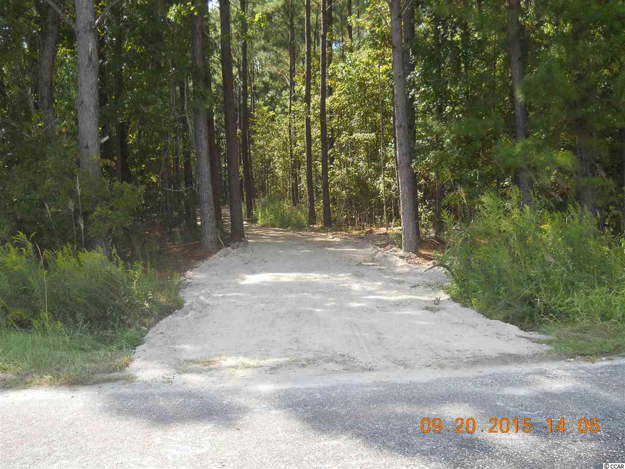 2823 Old Buck Creek Road Longs, SC 29568 - Photo 2 of 4 Gallery Image 2