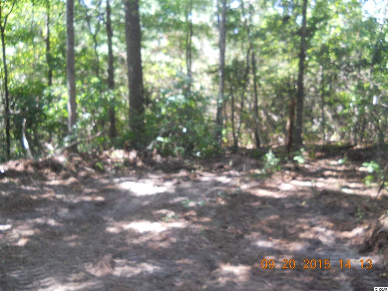 2823 Old Buck Creek Road Longs, SC 29568 - Photo 3 of 4 Gallery Image 3