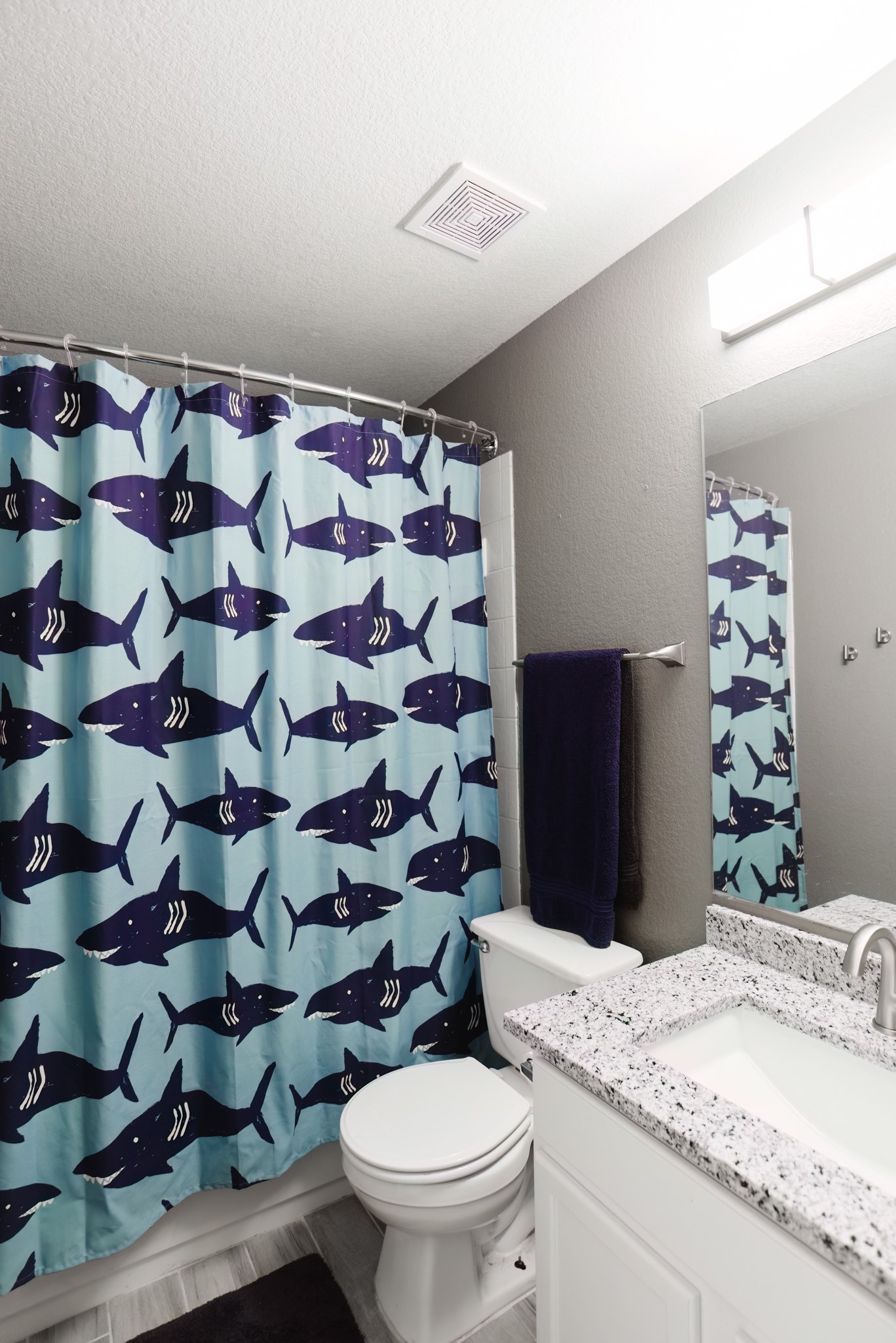 692 Scheel Kyle, TX 78640 - Photo 14 of 40 a bathroom with a granite countertop toilet a sink and a mirror