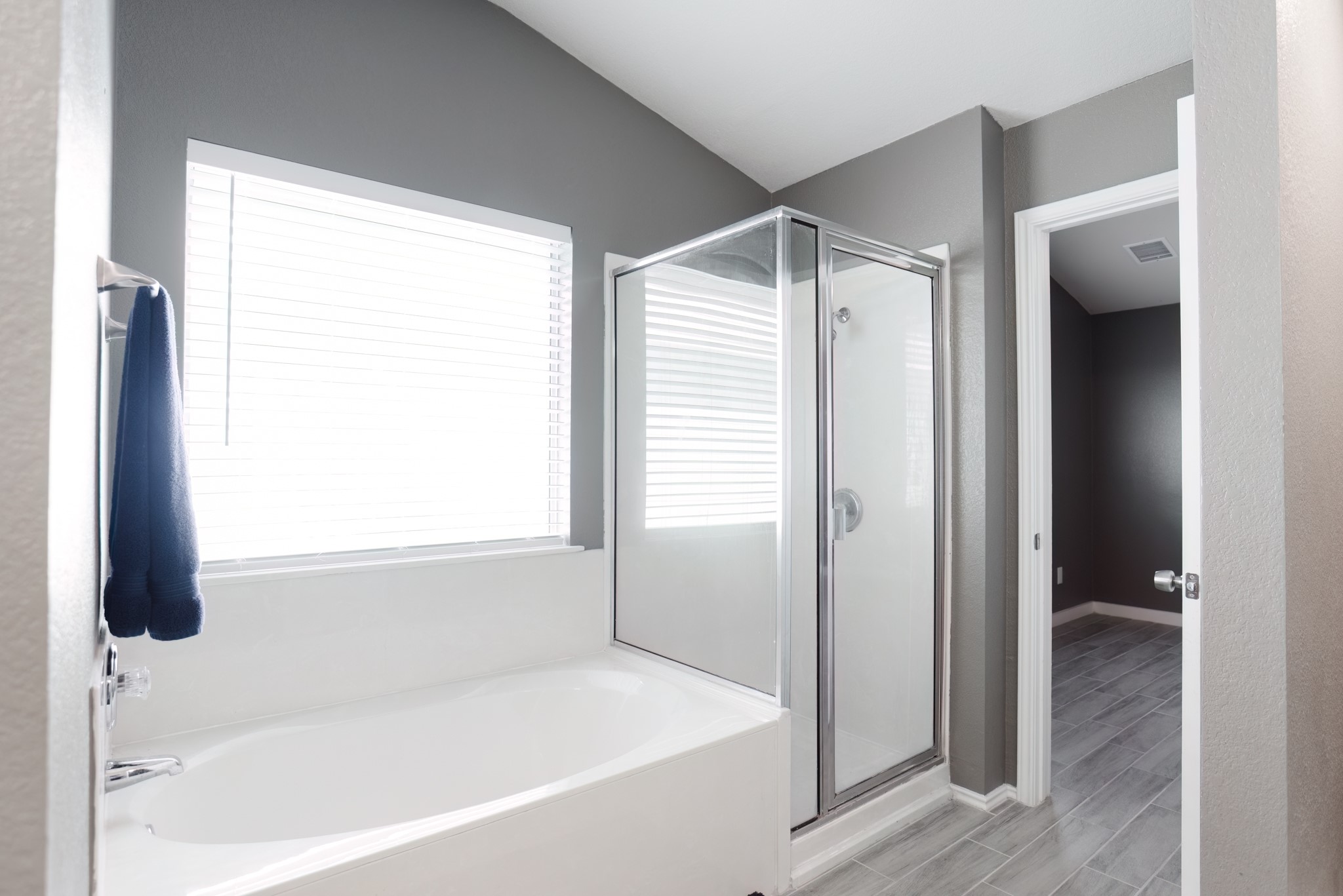 692 Scheel Kyle, TX 78640 - Photo 32 of 40 a bathroom with a bathtub and a shower