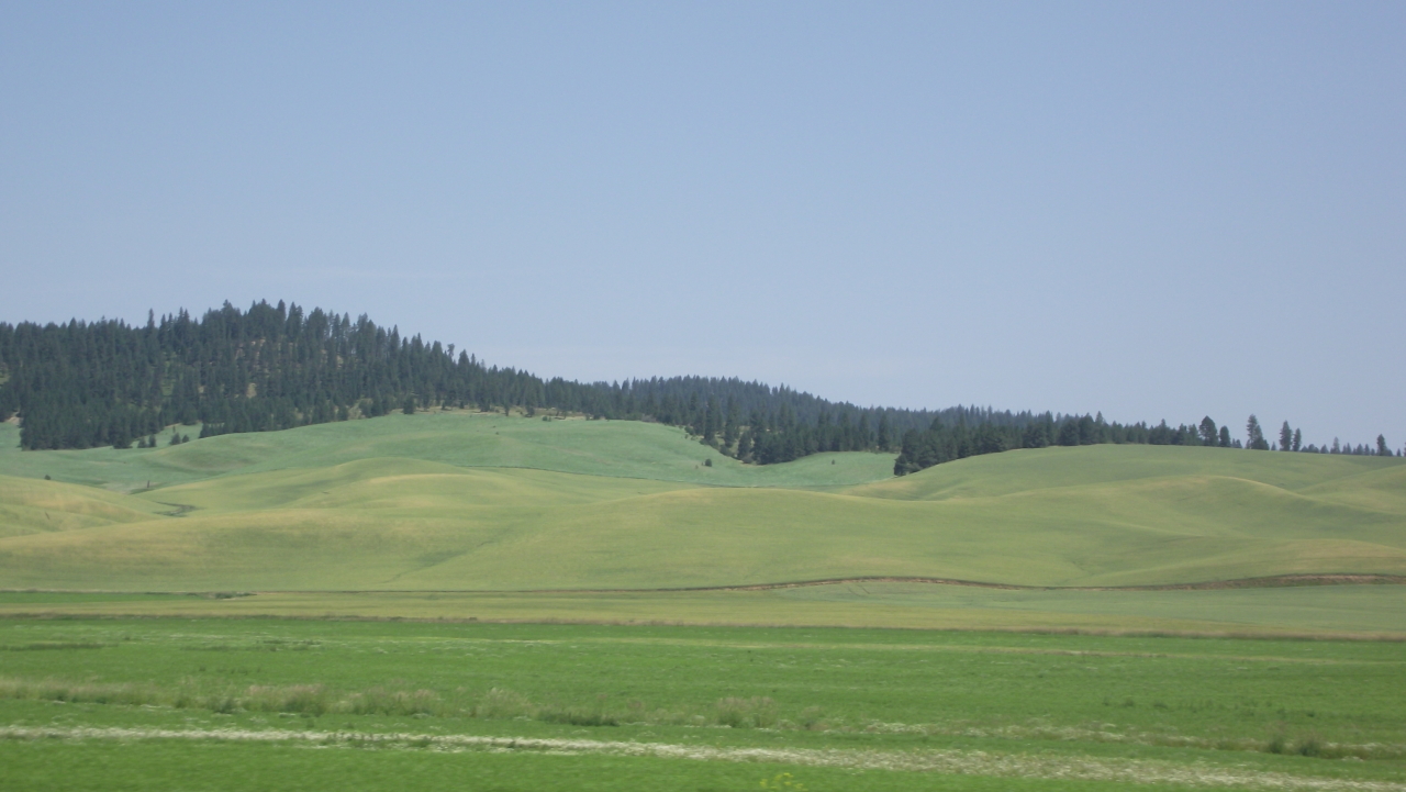 Nna Madsen Road Plummer, ID 83851 - Photo 1 of 1 Farm Acreage