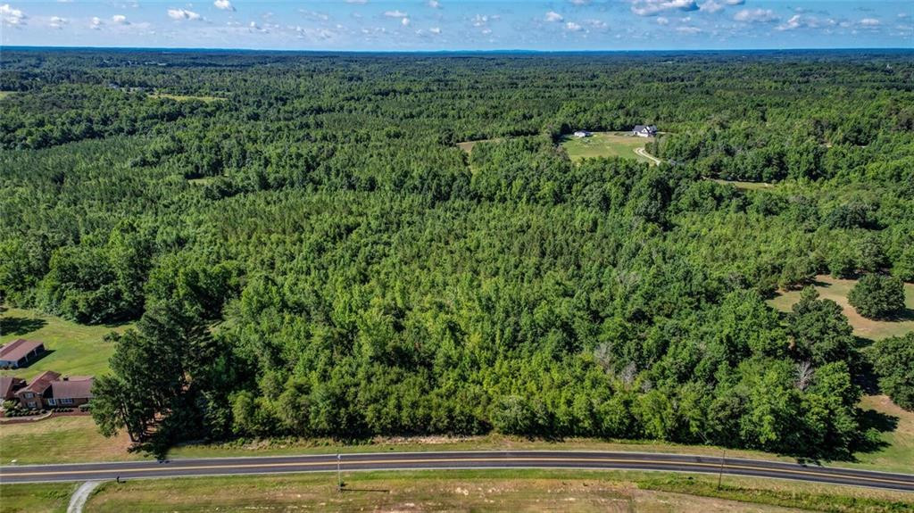 0 Willie Pace Road Burlington, NC 27217 - Photo 1 of 6 Photo 1