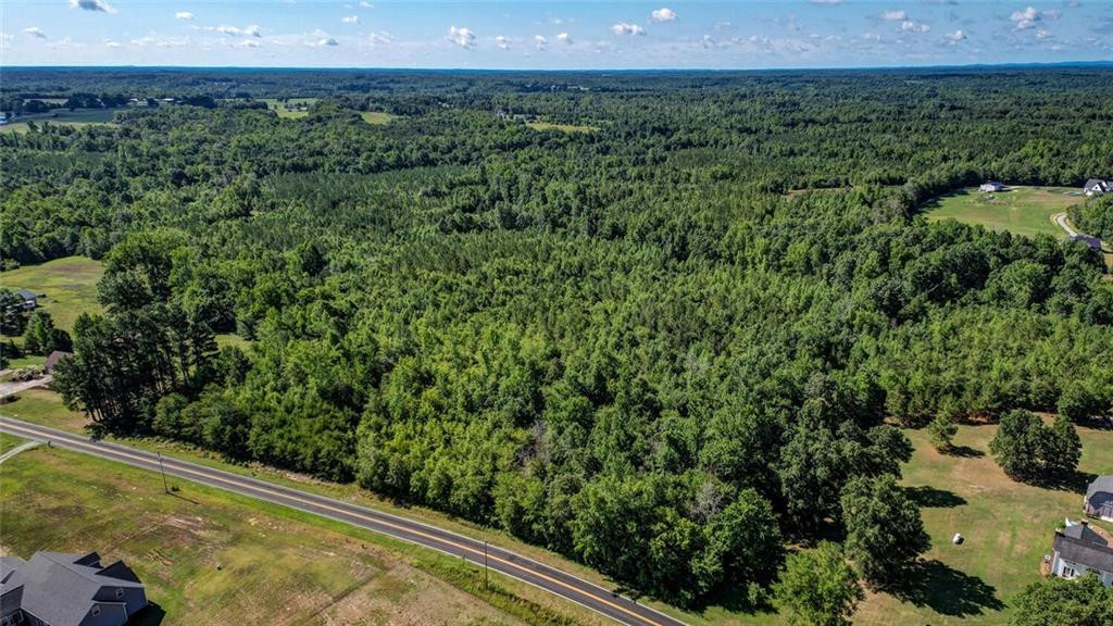 0 Willie Pace Road Burlington, NC 27217 - Photo 3 of 6 Photo 3