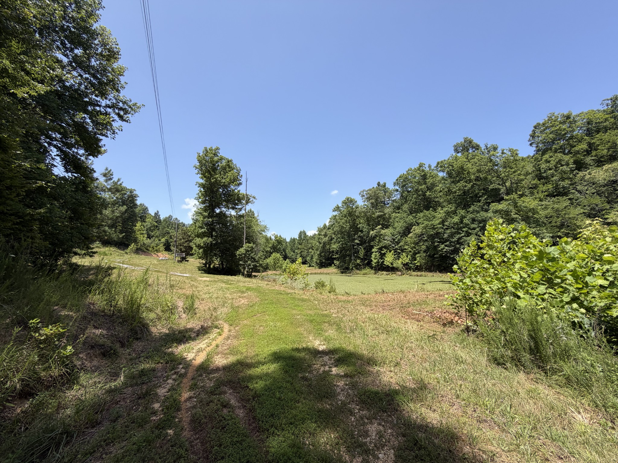 215 Bar Bee Road Hohenwald, TN 38462 - Photo 51 of 51