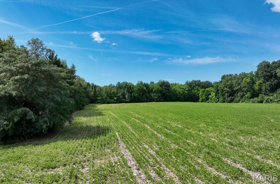 0 Silver Creek Road Alhambra, IL 62001 - Photo 10 of 23