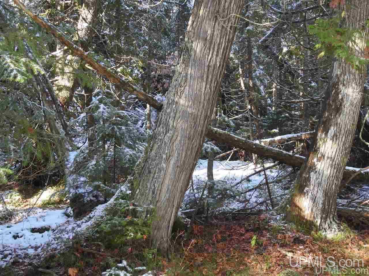 Tbd East H-58 Road Grand Marais, MI 49839 - Photo 8 of 18 Gallery Image 8