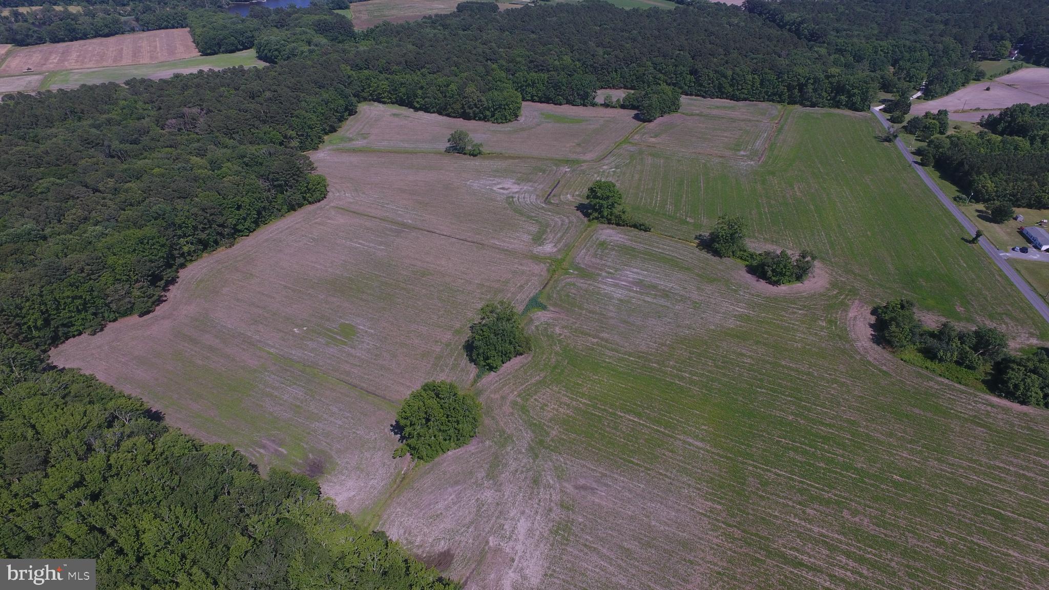 Dinges, Unit 2 Berlin, MD 21811 - Photo 11 of 16 Gallery Image 11