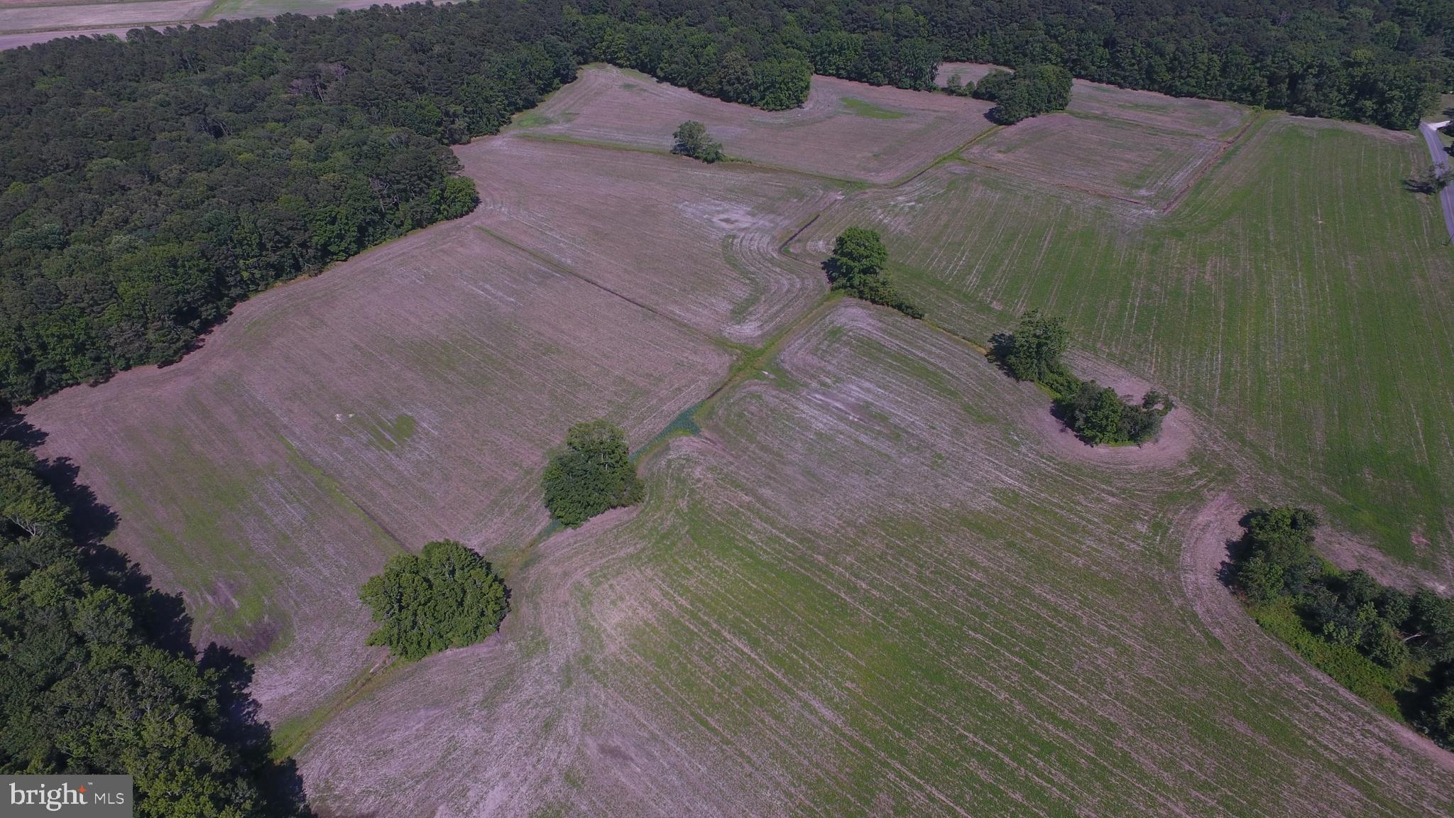 Dinges, Unit 2 Berlin, MD 21811 - Photo 12 of 16 Gallery Image 12