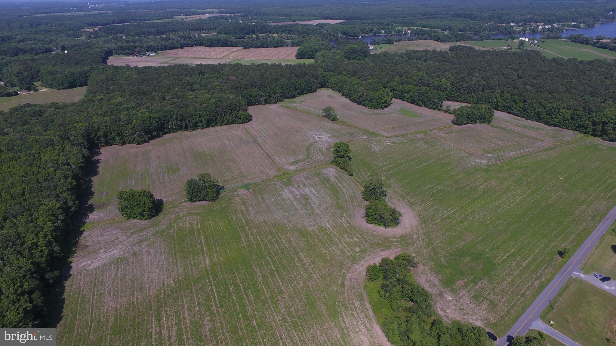 Dinges, Unit 2 Berlin, MD 21811 - Photo 14 of 16 Gallery Image 14