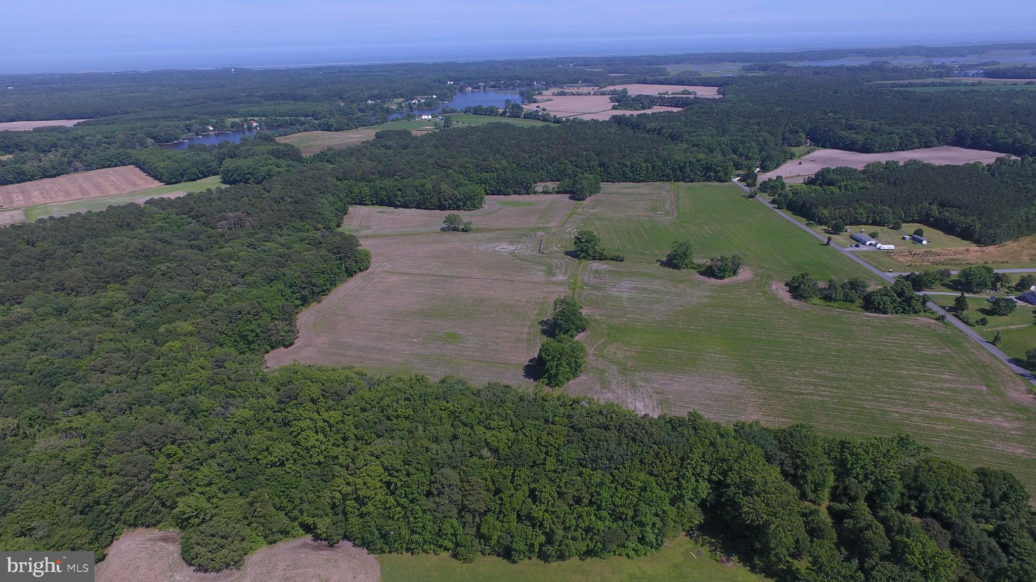 Dinges, Unit 2 Berlin, MD 21811 - Photo 7 of 16 Gallery Image 7
