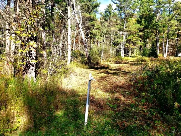 $28,900 | 0 Midline Road, Slaterville Springs, NY 14881