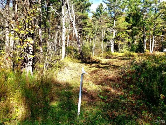 $33,900 | 0 Midline Road, Slaterville Springs, NY 14881