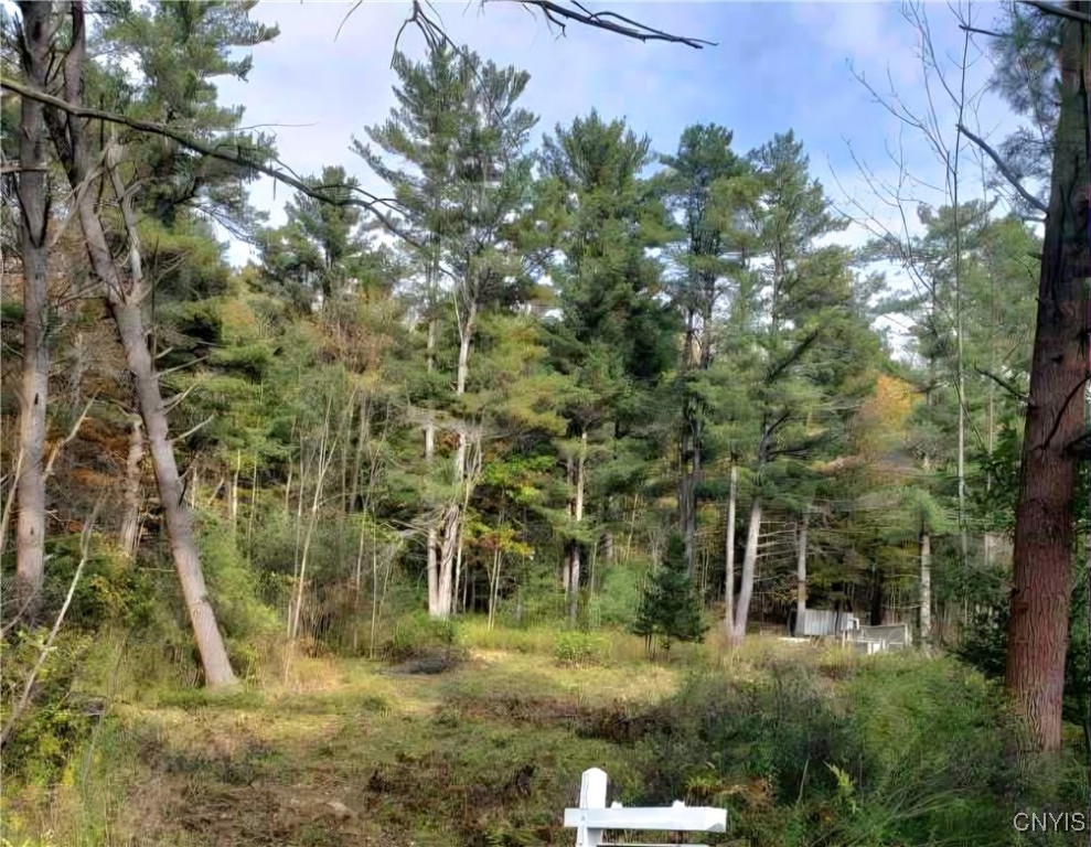 0 Midline Road Slaterville Springs, NY 14881 - Photo 11 of 12