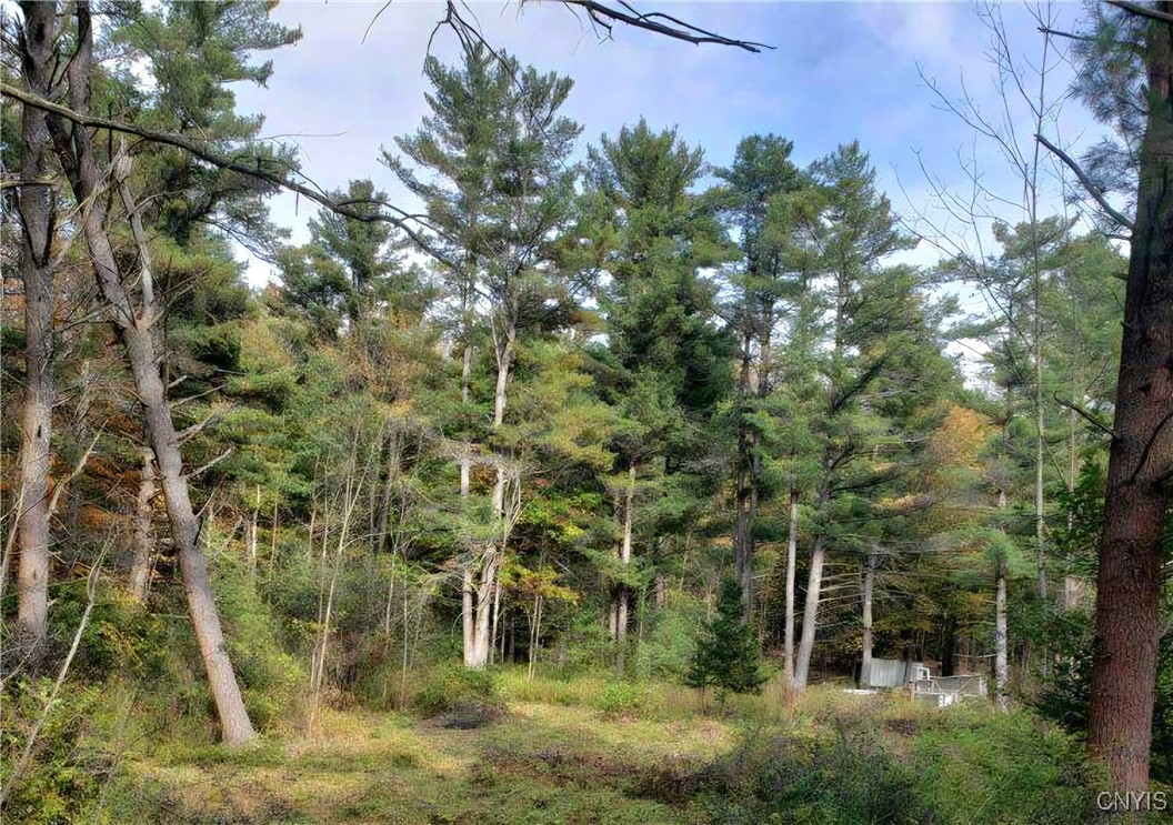 0 Midline Road Slaterville Springs, NY 14881 - Photo 12 of 12