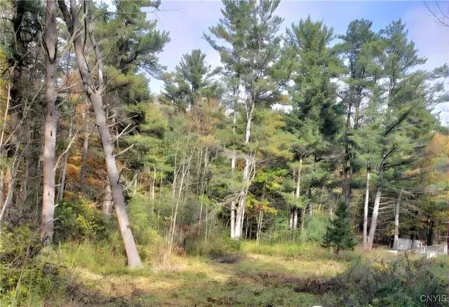$33,900 | 0 Midline Road, Slaterville Springs, NY 14881