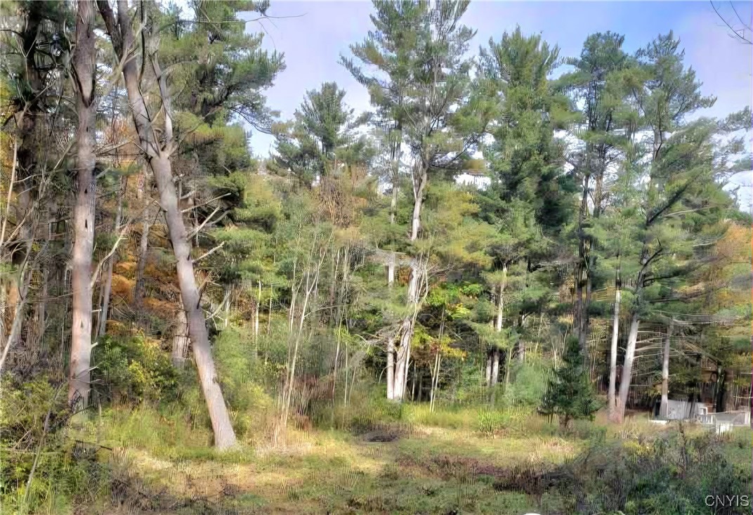 0 Midline Road Slaterville Springs, NY 14881 - Photo 2 of 12