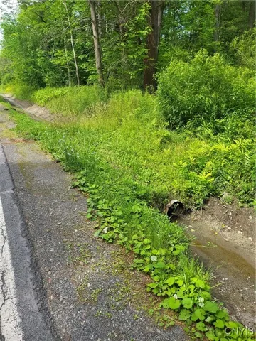 $33,900 | 0 Midline Road, Slaterville Springs, NY 14881