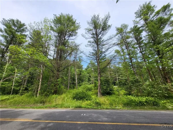 $28,900 | 0 Midline Road, Slaterville Springs, NY 14881