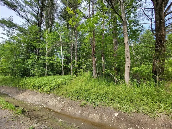 $28,900 | 0 Midline Road, Slaterville Springs, NY 14881