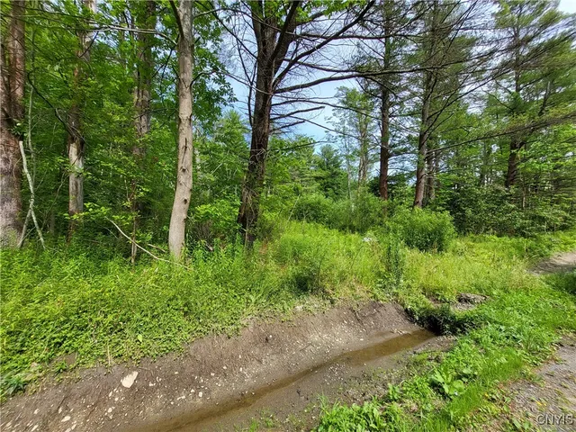 $33,900 | 0 Midline Road, Slaterville Springs, NY 14881