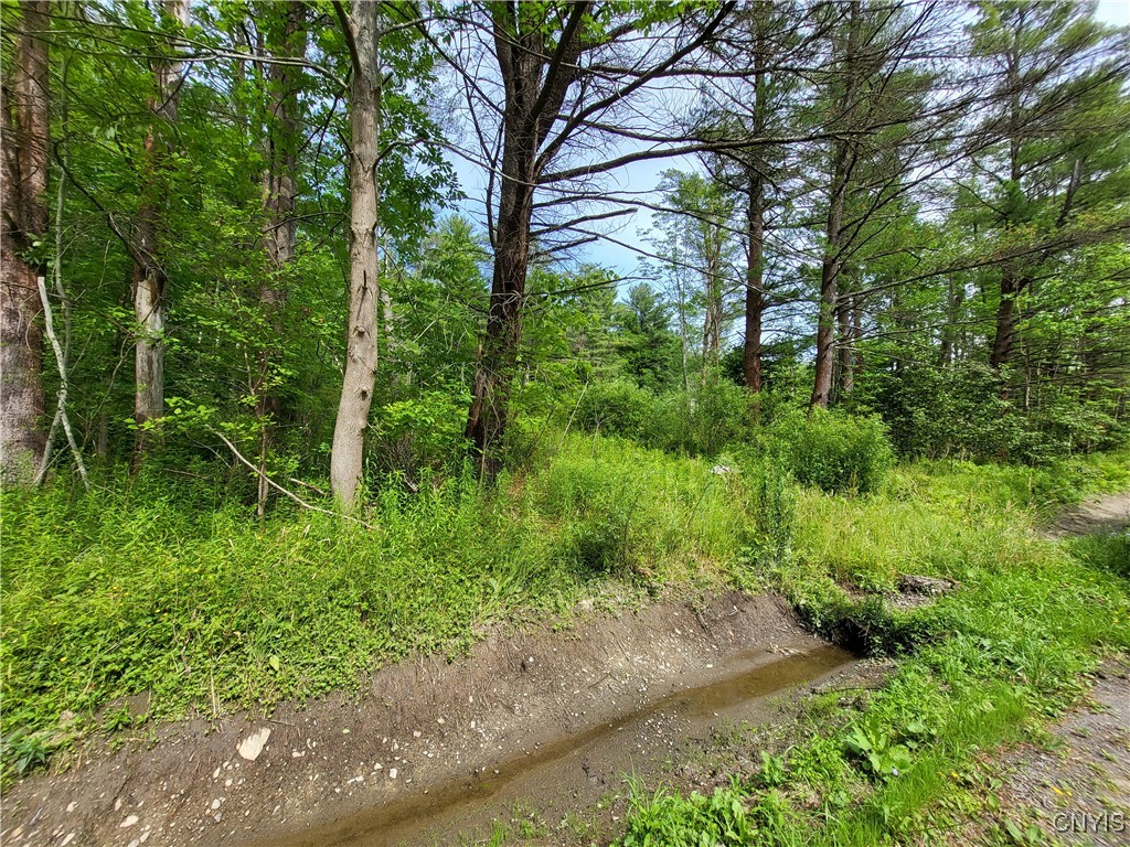 0 Midline Road Slaterville Springs, NY 14881 - Photo 7 of 12