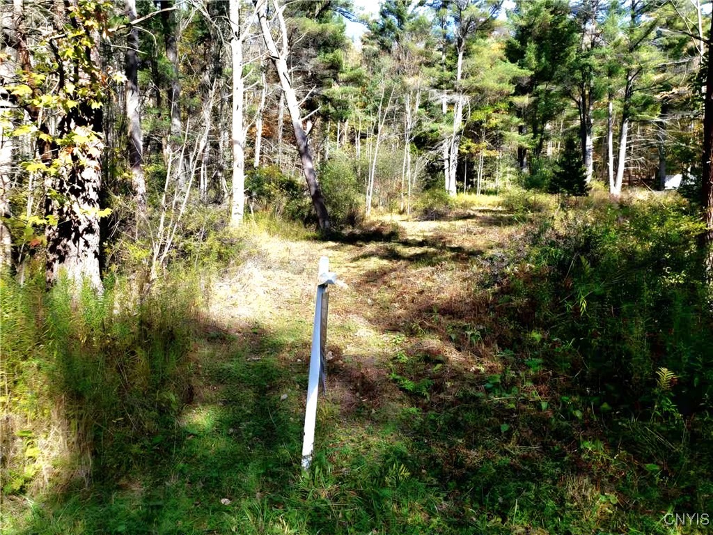 0 Midline Road Slaterville Springs, NY 14881 - Photo 10 of 12
