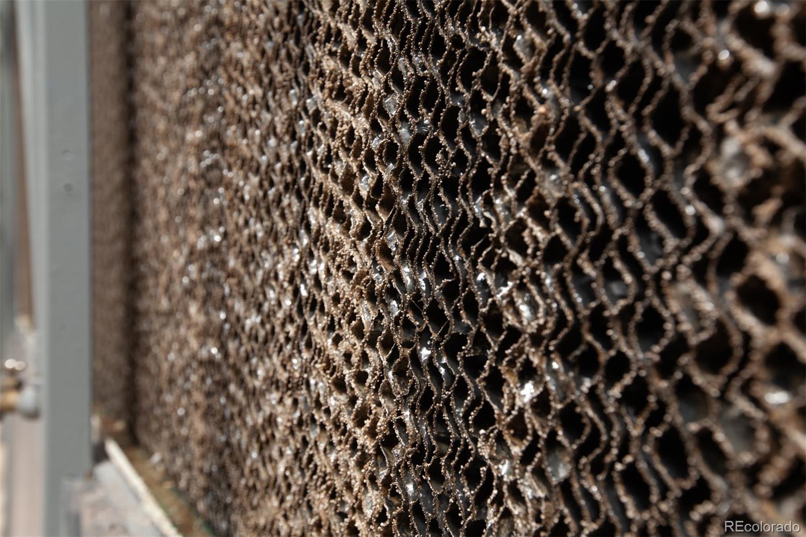 3281 C Road Palisade, CO 81526 - Photo 15 of 33 a close up of a plant