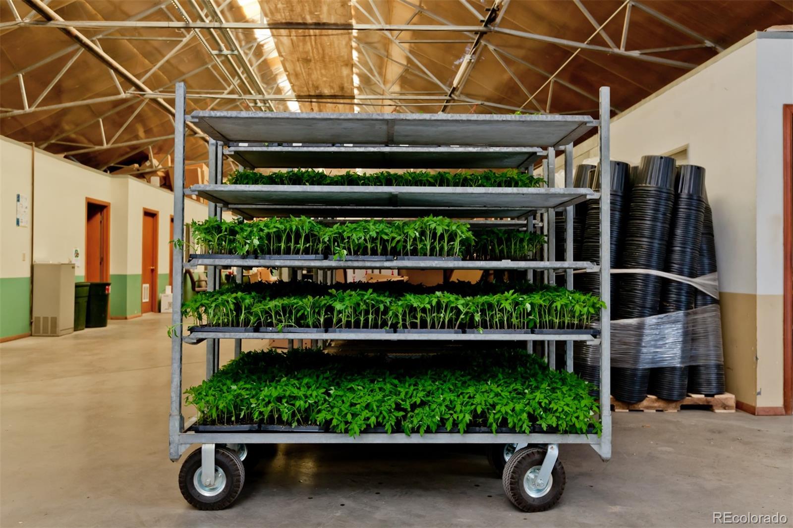 3281 C Road Palisade, CO 81526 - Photo 6 of 33 a view of entryway with a front door