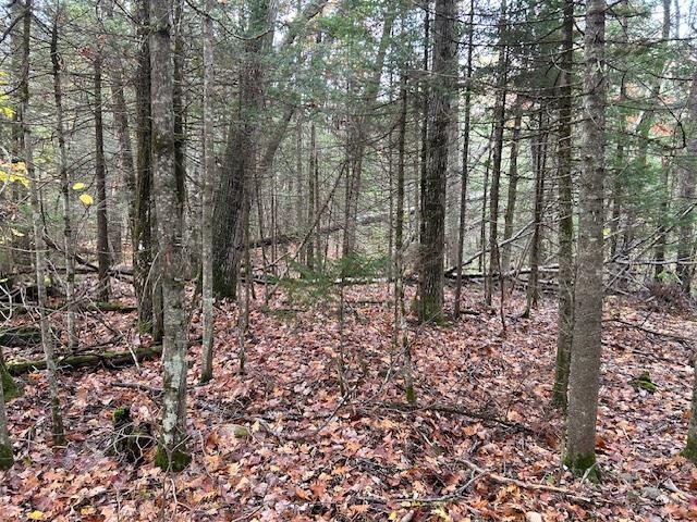 Lime Kiln Road, Unit 12 Pike, NH 03780 - Photo 1 of 6 Gallery Image 1