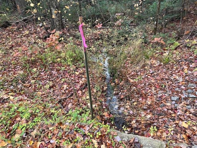Lime Kiln Road, Unit 12 Pike, NH 03780 - Photo 3 of 6 Gallery Image 3