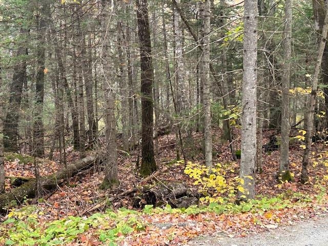 Lime Kiln Road, Unit 12 Pike, NH 03780 - Photo 5 of 6 Gallery Image 5