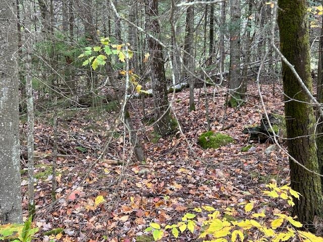 Lime Kiln Road, Unit 12 Pike, NH 03780 - Photo 6 of 6 Gallery Image 6