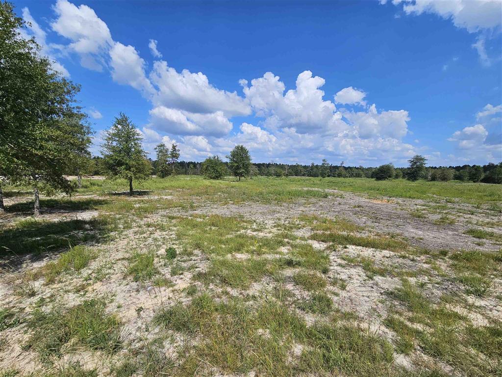 2 Rte 66 Road Dequincy, LA 70633 - Photo 2 of 6 Gallery Image 2