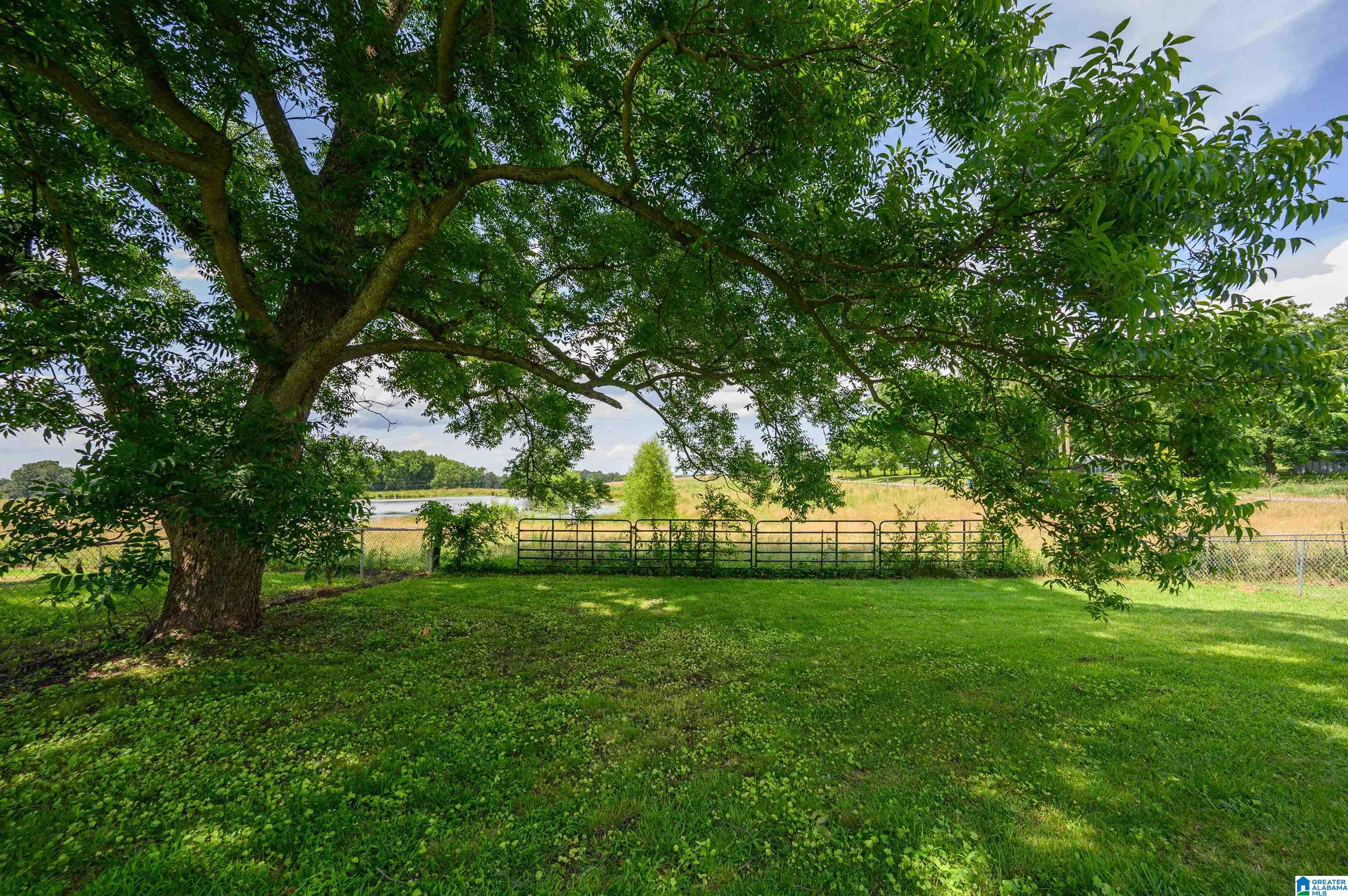 2511 Black Road Blountsville, AL 35031 - Photo 3 of 18