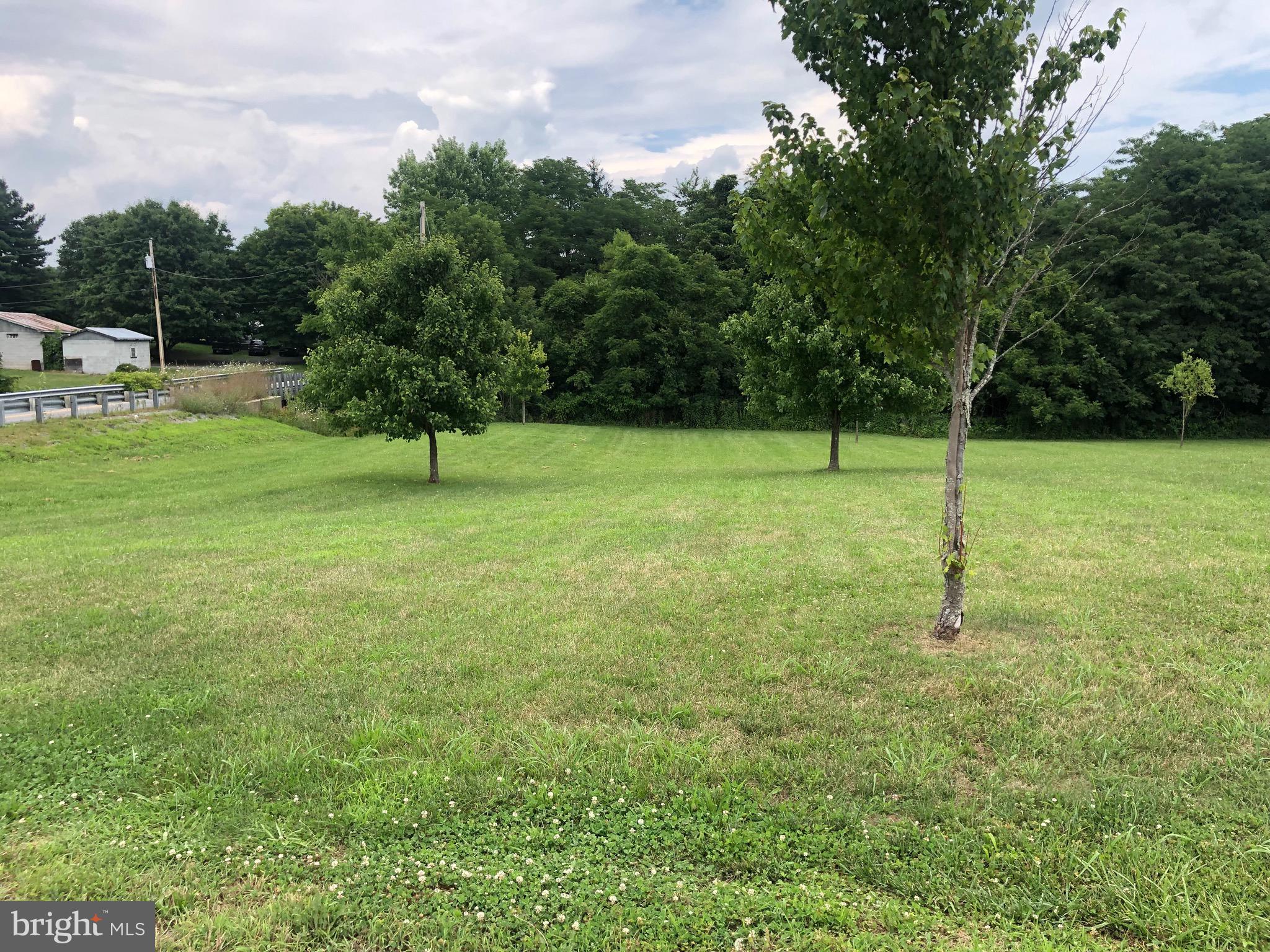 629 Dominion Road Gerrardstown, WV 25420 - Photo 3 of 39 Front yard