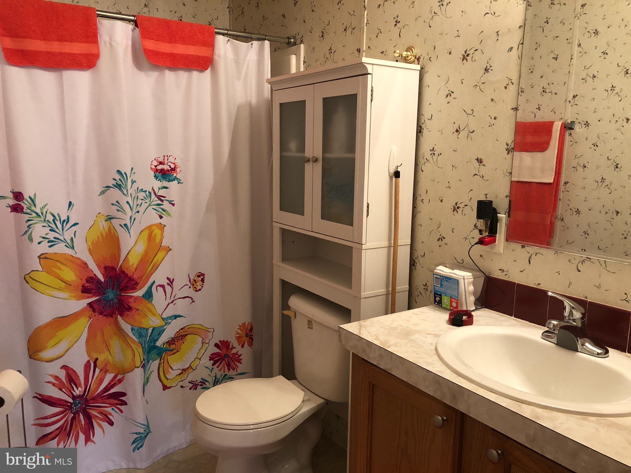 629 Dominion Road Gerrardstown, WV 25420 - Photo 35 of 39 Hall Bath