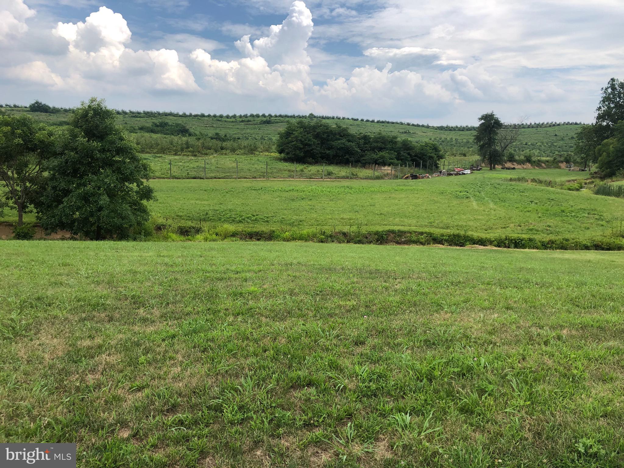 629 Dominion Road Gerrardstown, WV 25420 - Photo 5 of 39 Back yard